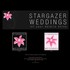 Stargazer Weddings - Salem OR Wedding Planner / Coordinator