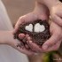 Simple Maui Wedding - Wailuku HI Wedding Planner / Coordinator Photo 15
