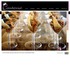 Contessa Catering - Seattle WA Wedding Caterer