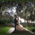 Moments In Time Photography - Sarasota FL Wedding Photographer Photo 2