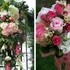 English Gardens - Dearborn Heights MI Wedding Florist Photo 9