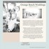 Orange Beach Weddings - Orange Beach AL Wedding Planner / Coordinator