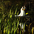 Foothills Photography - Little Falls NY Wedding Photographer Photo 8