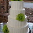 Couture Cakes of Greenville - Greenville SC Wedding  Photo 4