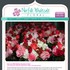 Norfolk Wholesale Floral - Norfolk VA Wedding Florist