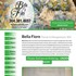 Bella Fiore Designs - Morgantown WV Wedding Florist