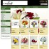 Carousel Florist & Gifts - London KY Wedding Florist
