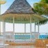 Alakazam Travel & Cruise, Inc. - Macedonia OH Wedding Travel Agent Photo 25