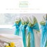 Skagit Valley Wedding Rentals - Mount Vernon WA Wedding 