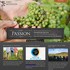 Early Mountain Vineyards - Madison VA Wedding 