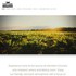 Sleepy Creek Vineyards - Fairmount IL Wedding 