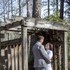 Love is Love Officiant and Photography - Atlanta GA Wedding Officiant / Clergy Photo 8