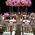 PartyTime Rentals - Poughquag NY Wedding 