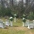 Midlands Wedding Services (SC/NC) - Columbia SC Wedding Officiant / Clergy Photo 3