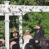 Wed You Now LLC - Fennville MI Wedding Officiant / Clergy Photo 22
