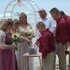 Wed You Now LLC - Fennville MI Wedding Officiant / Clergy Photo 8