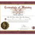 Talisha Jefferson - Wedding Officiant - Lake Villa IL Wedding Officiant / Clergy