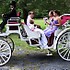 Bee Tree Trail Carriage and Wagon Tours - Shartlesville PA Wedding Transportation Photo 13