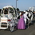 Bee Tree Trail Carriage and Wagon Tours - Shartlesville PA Wedding Transportation Photo 9