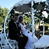 Bee Tree Trail Carriage and Wagon Tours - Shartlesville PA Wedding Transportation Photo 24