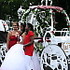 Bee Tree Trail Carriage and Wagon Tours - Shartlesville PA Wedding Transportation Photo 6