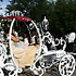 Bee Tree Trail Carriage and Wagon Tours - Shartlesville PA Wedding Transportation Photo 23