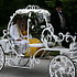 Bee Tree Trail Carriage and Wagon Tours - Shartlesville PA Wedding Transportation Photo 22