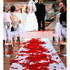 Designfire Photography - Las Vegas NV Wedding Photographer Photo 7