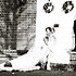 Tindall Farmer Photography - Germantown TN Wedding Photographer Photo 14