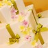 All Occasions Event Planning - Camarillo CA Wedding 