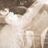 Wanda Lechene Photography - Flinton PA Wedding Photographer Photo 16