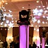 Direct Sound Wedding DJ Event & Decor Lighting - Lancaster CA Wedding Disc Jockey Photo 11