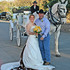 Angeli Carriages - Austin TX Wedding Transportation Photo 11