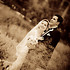 Event Life Studio Photo and Video - Hallandale FL Wedding Photographer Photo 4