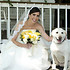 Event Life Studio Photo and Video - Hallandale FL Wedding Photographer Photo 16