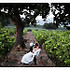 Sierra Wine Country Weddings - Ione CA Wedding Officiant / Clergy Photo 25