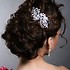 Bridal Beauty Associates - Manassas VA Wedding Hair / Makeup Stylist Photo 8