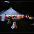 Elegant Events | planners+design - Grand Rapids MI Wedding Planner / Coordinator Photo 11