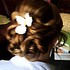 Beauty By Alison LeeAnn - Gulf Breeze FL Wedding Hair / Makeup Stylist Photo 14