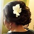 Beauty By Alison LeeAnn - Gulf Breeze FL Wedding Hair / Makeup Stylist Photo 17