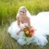 Rev. Sylvia Dabney-Chelan Wedding Service - Chelan WA Wedding Officiant / Clergy Photo 3