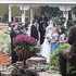 Dream Wedding Specialists (Officiants) - Oak Creek WI Wedding Officiant / Clergy Photo 2