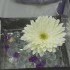 Abbey's Garden - Louisville KY Wedding Florist Photo 6