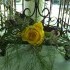 Abbey's Garden - Louisville KY Wedding Florist Photo 10