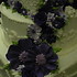 Cake Devils - Tallman NY Wedding Cake Designer Photo 24