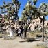 The Vow Keeper - Twentynine Palms CA Wedding Officiant / Clergy Photo 23