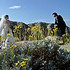 The Vow Keeper - Twentynine Palms CA Wedding Officiant / Clergy Photo 5