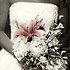 Snufferhill Photography - Bluefield VA Wedding Photographer Photo 23