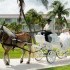 Effortless Travel - Tallahassee FL Wedding Travel Agent Photo 11