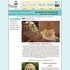 Dawn's Couture Cakes - Bloomfield IA Wedding 
